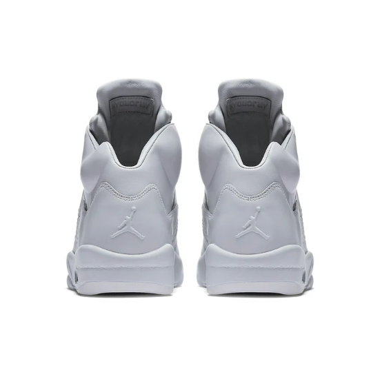 Air Jordan 5 Retro Premium 'Pure Platinum' Sneakers 881432-003