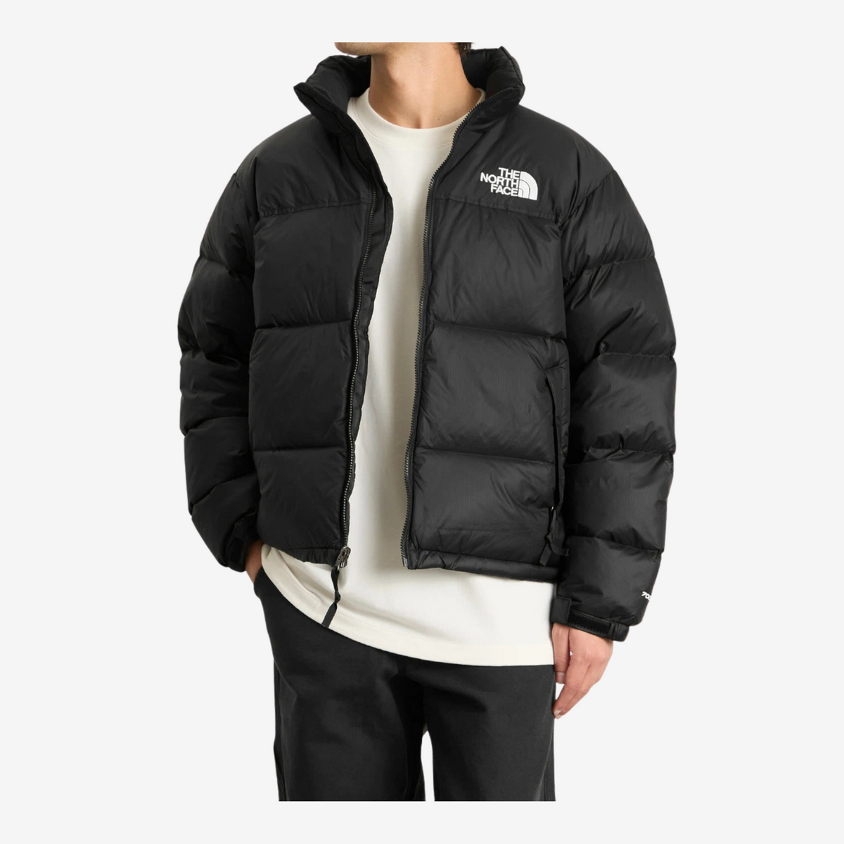 The North Face 1996 Retro Nuptse 700 Down Puffer Jacket — Black