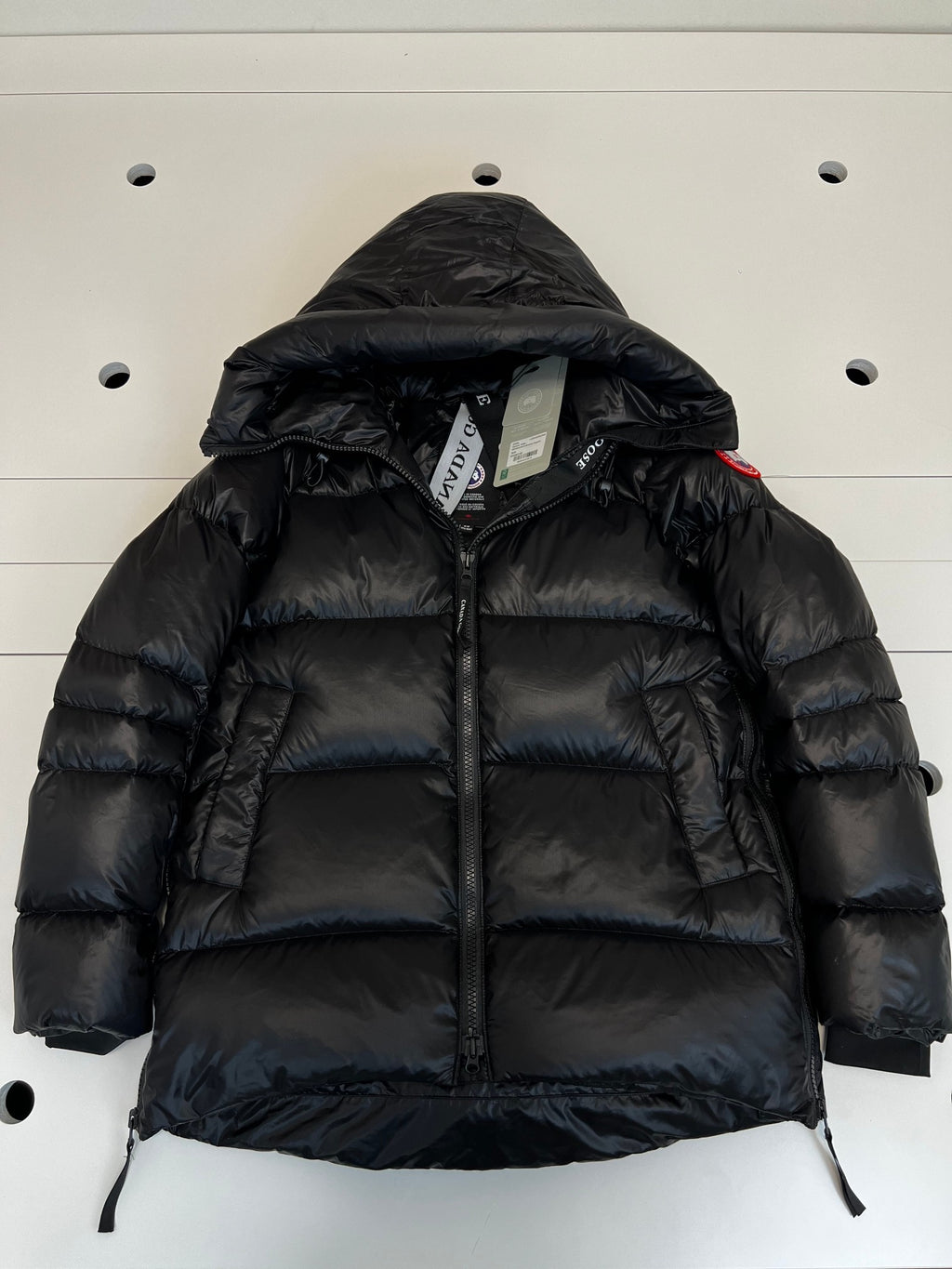 Canada Goose Glossy Hooded Down Jacket (Women's)