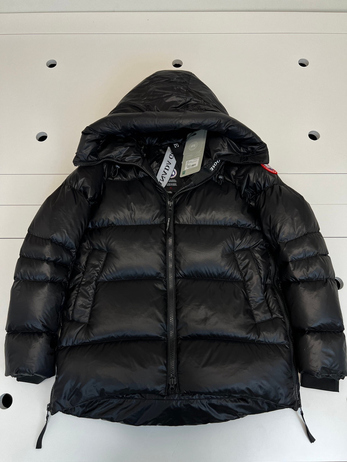 Canada Goose Glossy Hooded Down Jacket (Women's)