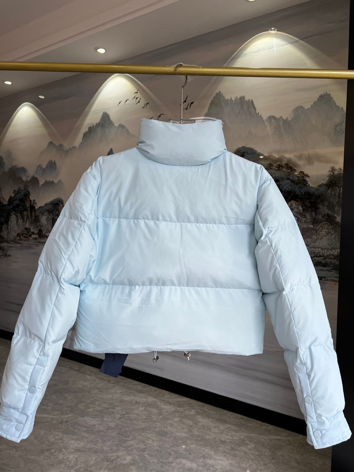 Prada Re-Nylon Cropped Down Jacket (Women's)