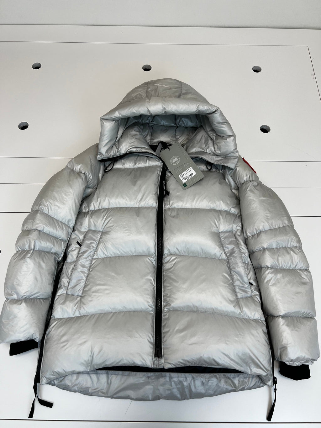 Canada Goose Glossy Hooded Down Jacket (Women's)