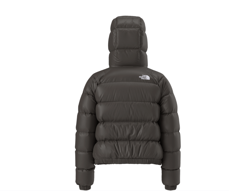 The North Face Hydrenalite Down Hoodie — Women's