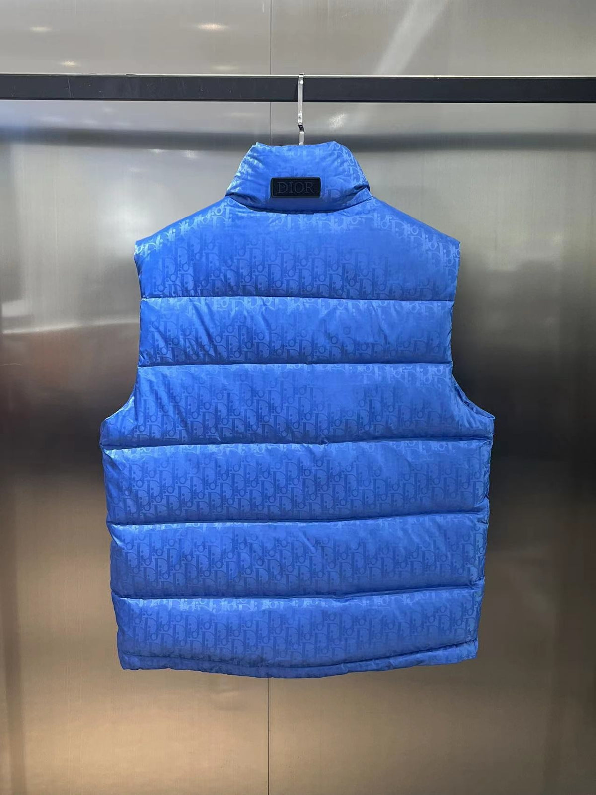 Dior Oblique Monogram Down Vest (Unisex)