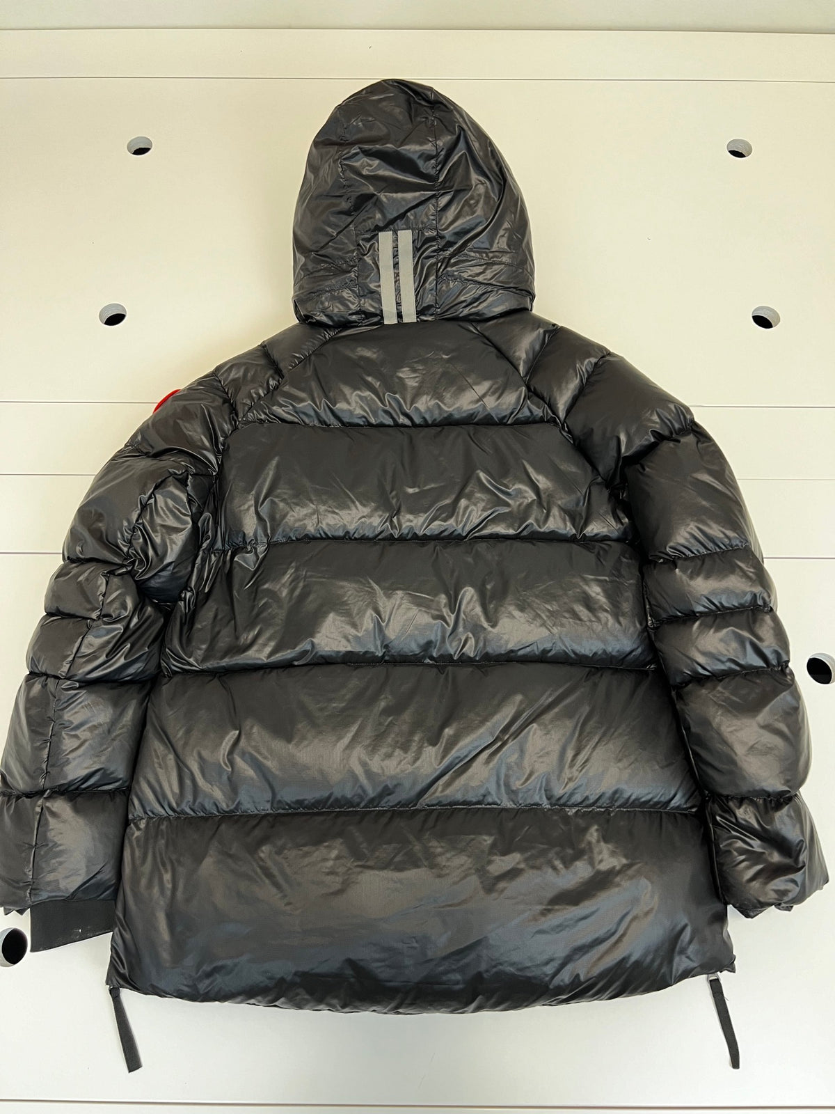 Canada Goose Glossy Hooded Down Jacket (Women's)