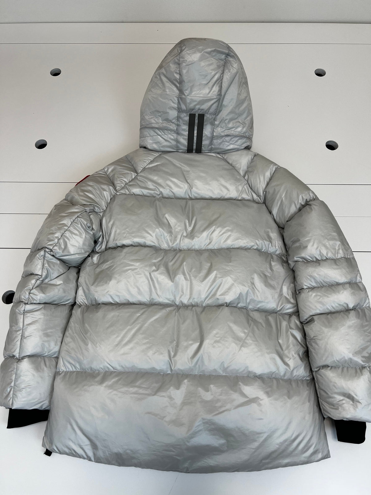 Canada Goose Glossy Hooded Down Jacket (Women's)
